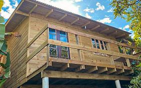 Cabana Solitude - Gaivota
